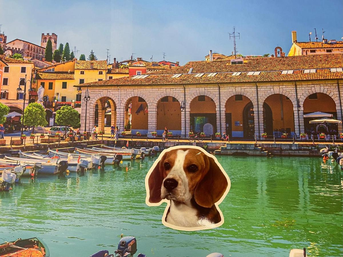 Desenzanoloft Smile On The Lake Desenzano del Garda Zewnętrze zdjęcie